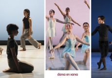 Formació Dansa en Xarxa 26-27