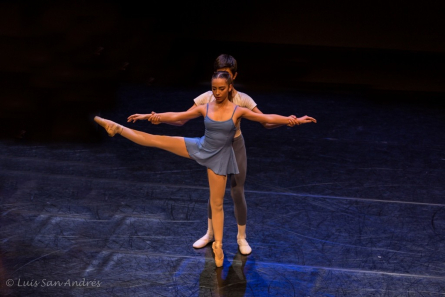 Tallers lliures eesacpd marc 2014 2 