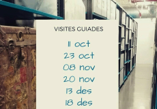 Visites mae