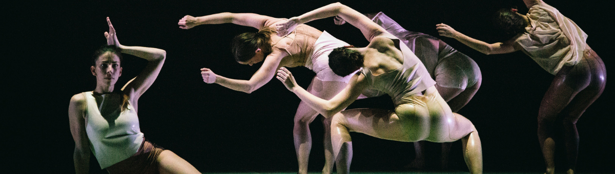 Estudis superiors de dansa