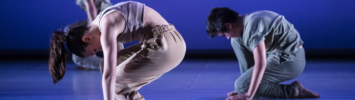 Formació Dansa en Xarxa_capçalera