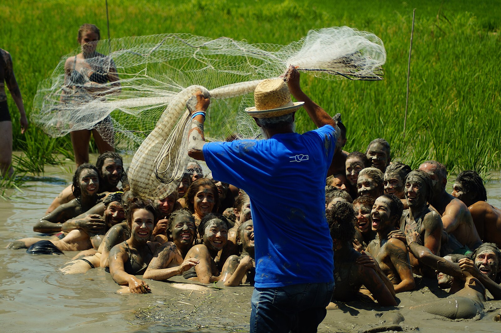 Imagen de Premis, festivals i mostres